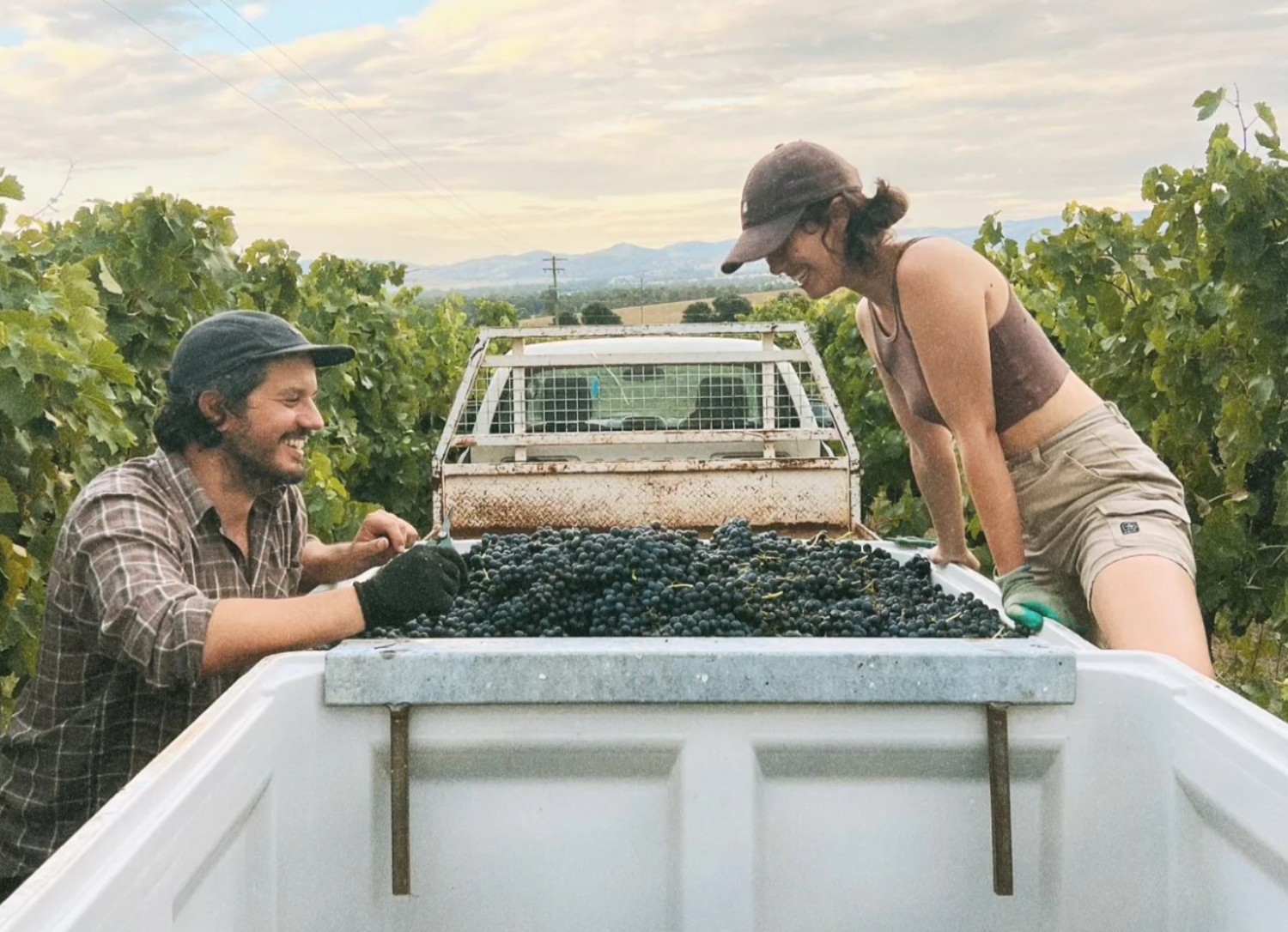 An Interview with Makers of Aristotelis ke Anthoula