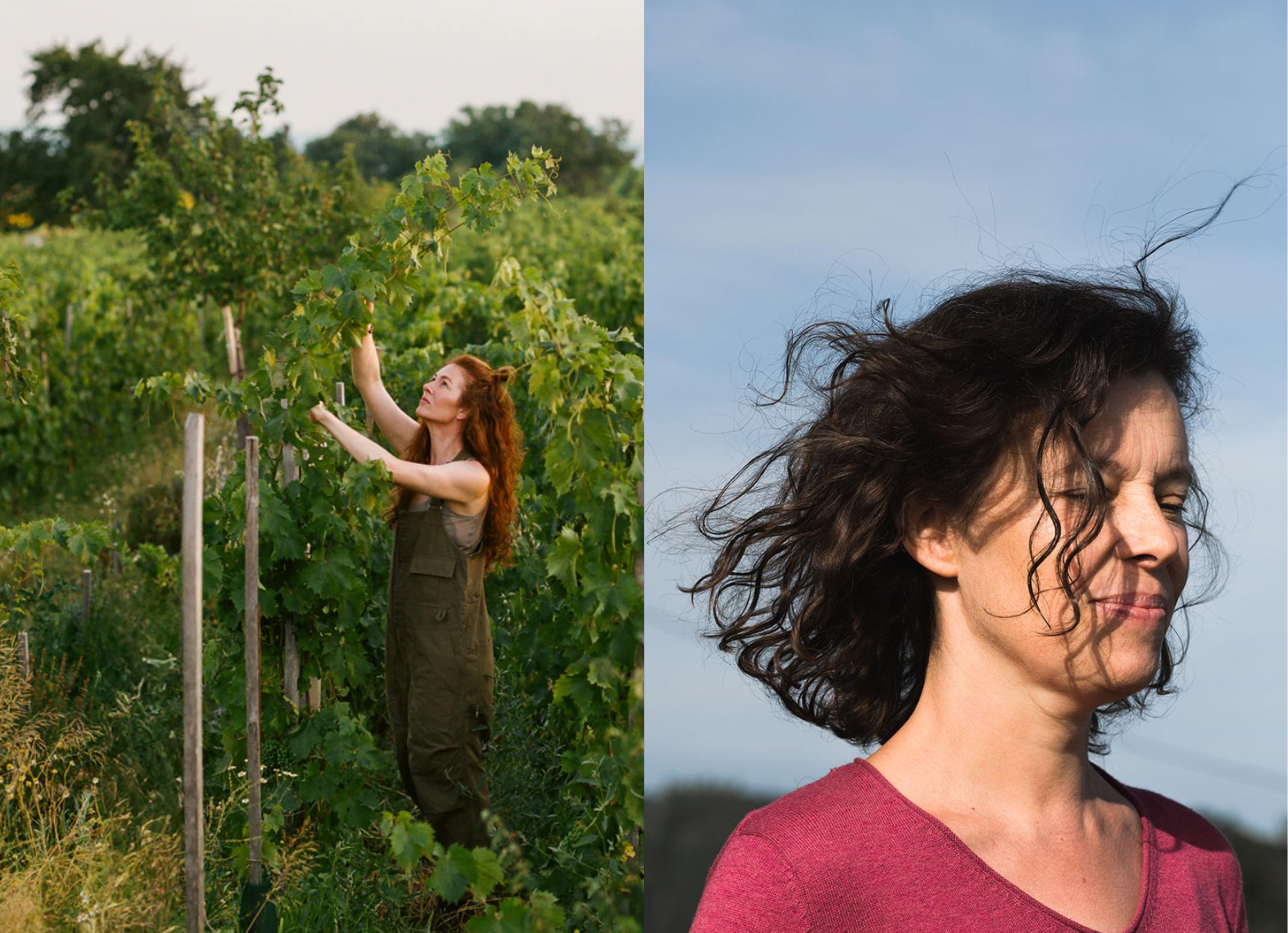 Meet 5 Women Winemakers Shaping Natural Wine