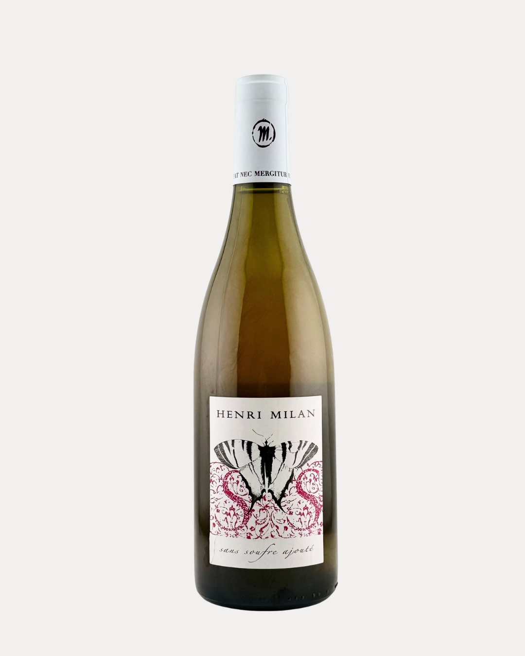 Papillon Blanc 2019